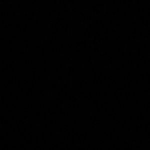 Meet your Posher, Isabella